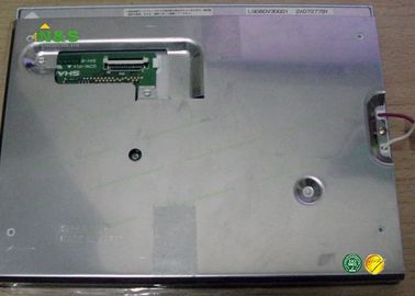 8.0 ইঞ্চি LQ080V3DG01 শর্ট LCD প্যানেল সাধারণত 162.24 × 121.68 মিমি সঙ্গে হোয়াইট