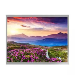 MVA 10.4 ইঞ্চি TFT LCD ডিসপ্লে G104X1-L04 LVDS ইন্টারফেস TFT LCD মডিউল