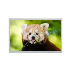 12.1 ইঞ্চি AUO LCD প্যানেল 800*600 G121S1-L02 REV C4 / REV C6 TFT LCD ডিসপ্লে মডিউল