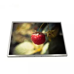 G121SN01 V403 AUO LCD প্যানেল 12.1 ইঞ্চি 800x600 500 Nits TFT LCD মডিউল